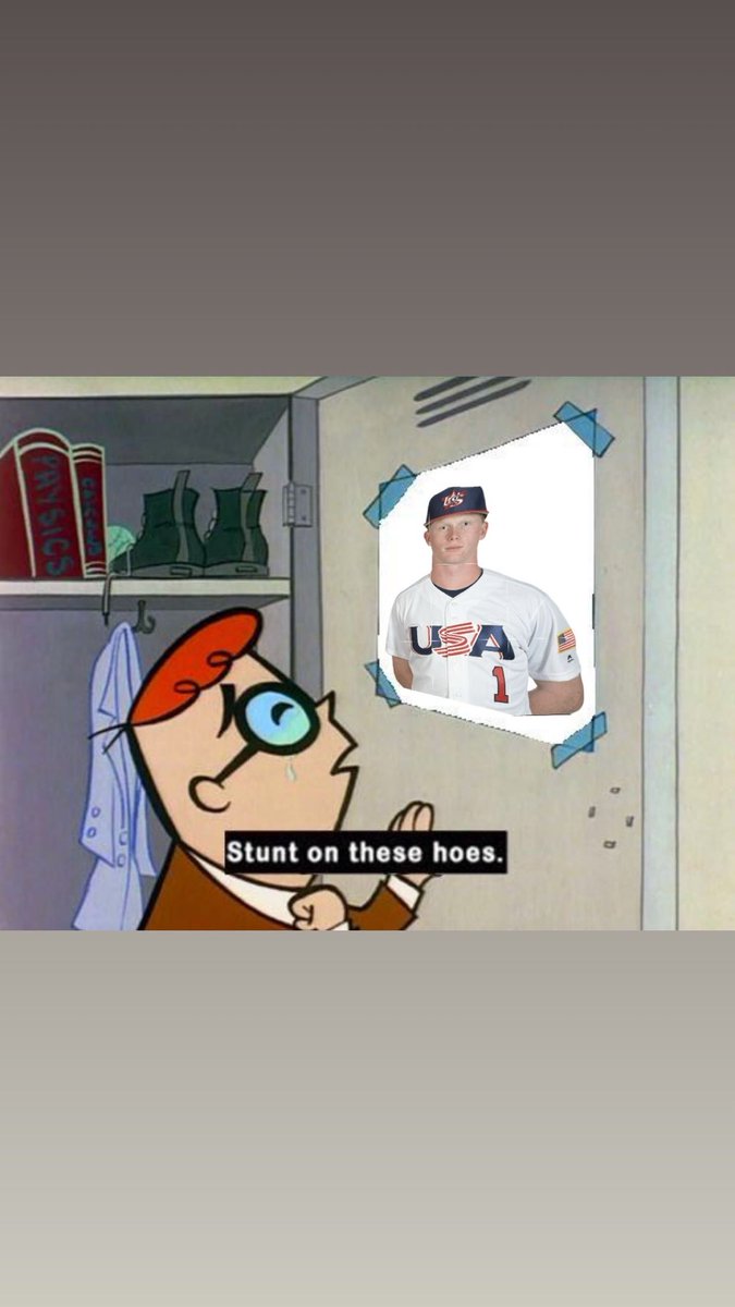 Cyclone Goose tweet media