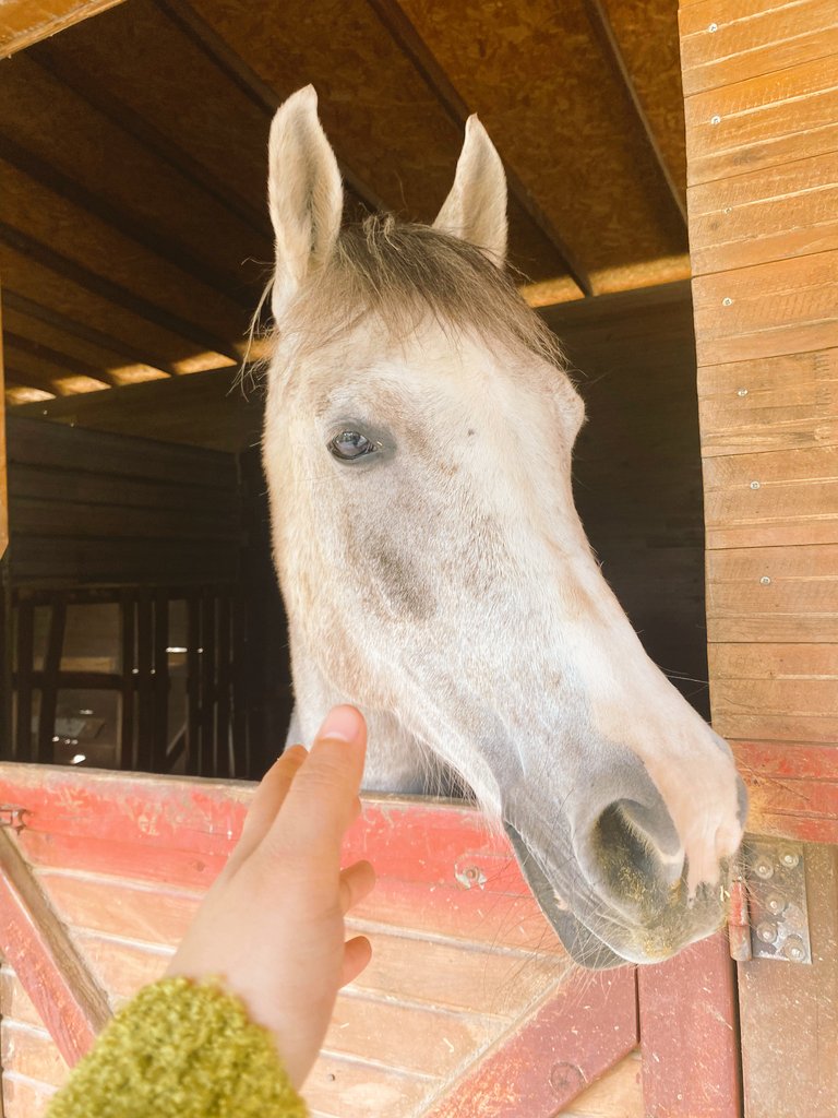 Günümün güzelleri🤗🥰
Mutlu akşamlar olsun iyilerr🙏🐾