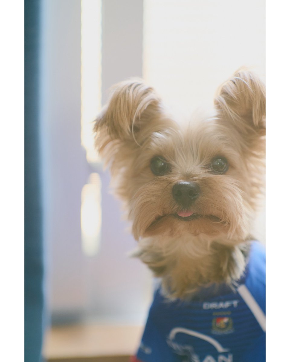 首の角度がスンスンに似てるｲｯﾇ