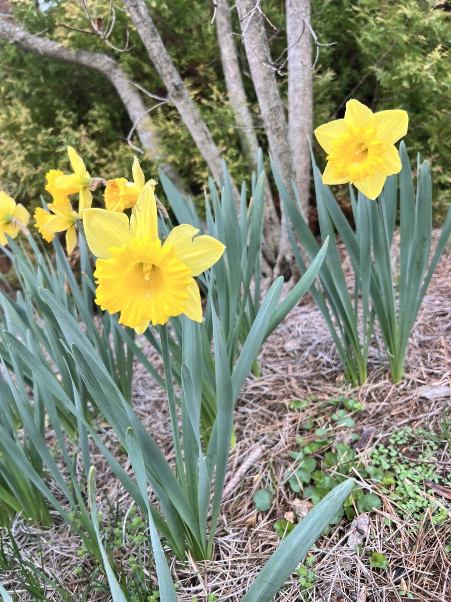 Keith Carver tweet media