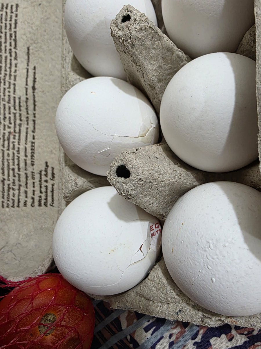 rahul_sain91963's tweet photo. Dear #Blinkit i just have ordered grocery order id ORD63205369828 and its received rottened tomato and broken eggs even I order #eggoz egg

Not able to register my query on bli kit support.

#quickcommerce #zepto #instamart
#eggoz #egg #food

@letsblinkit @jagograhakjago pls help https://t.co/pnqJVAEw6e