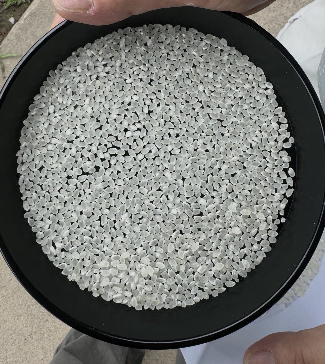 コメ吉🌾 tweet media