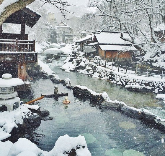 永井 彩音 tweet media