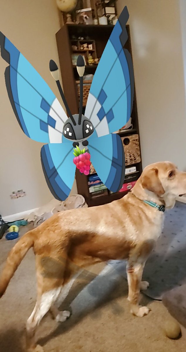 Lucent Beam tweet media