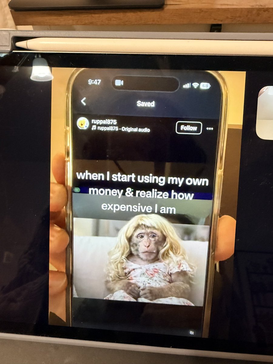 Jane Rhee tweet media