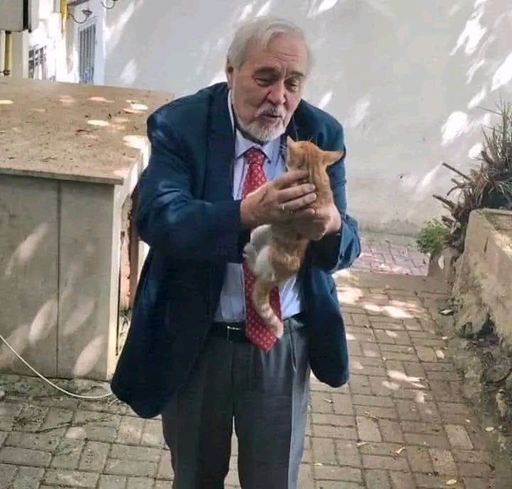 Bir Acayip Kadın tweet media