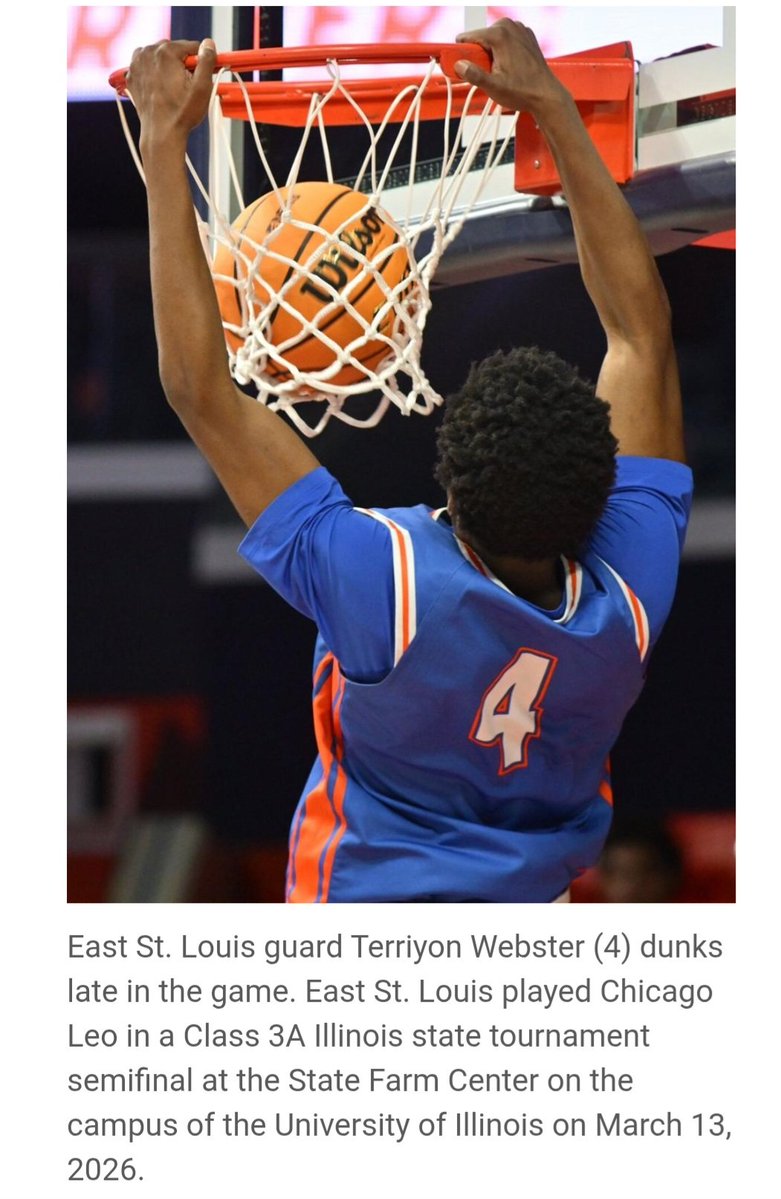 Rick Wilson tweet media