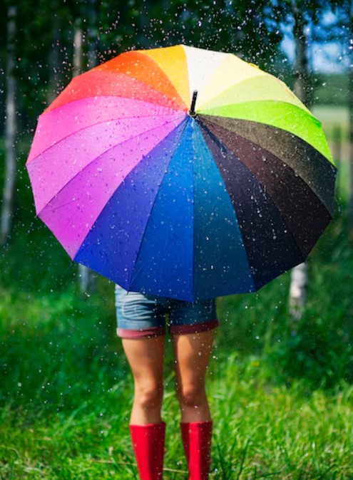 TeleMediaFr tweet media