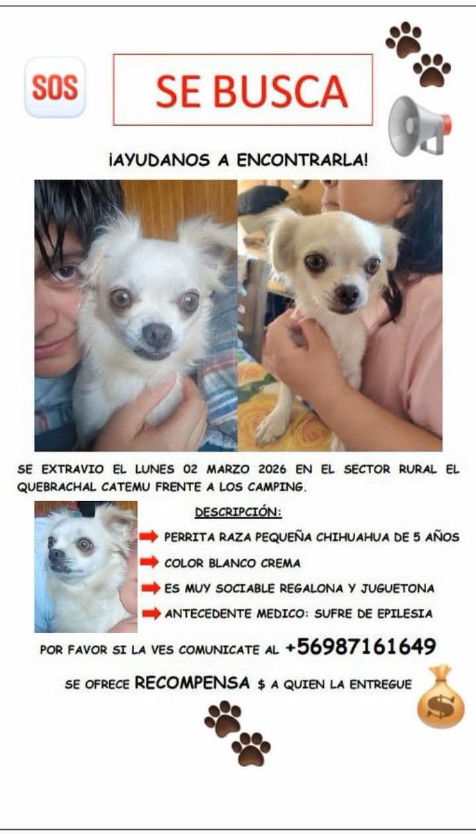 Brenda Etchegaray tweet media