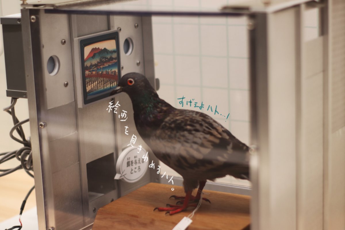 永田 鵄 tweet media