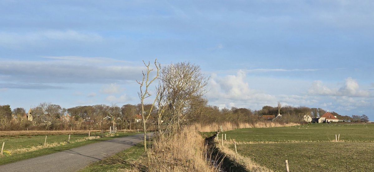 Simon Westerhof tweet media