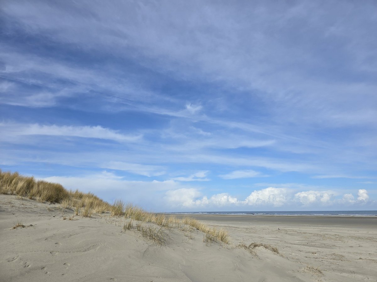 Simon Westerhof tweet media