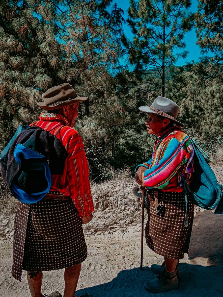 Martín Toc tweet media