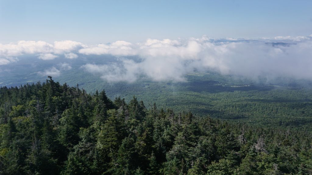 South Burlington, VT tweet media