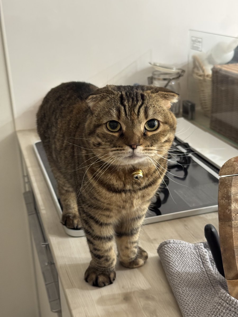 まつたけ tweet media