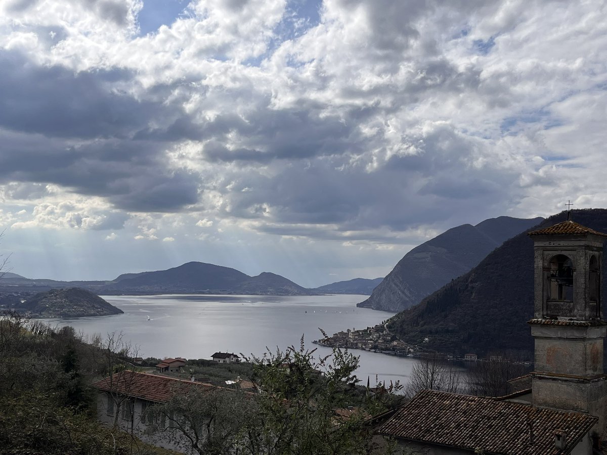 Cati 🐞🌻⛰🥾🐞 tweet media