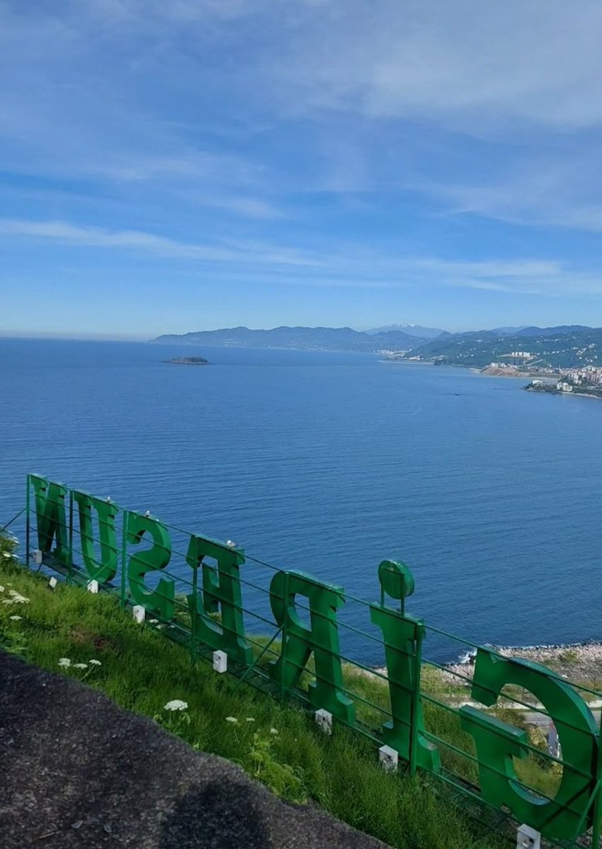 tozsekerr tweet media