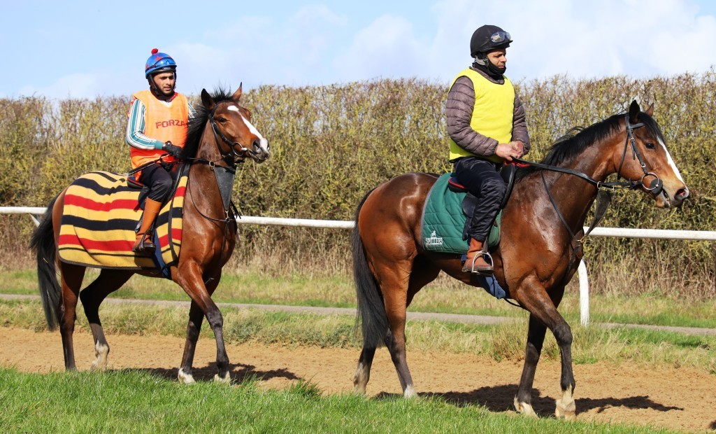 Value Racing Club tweet media