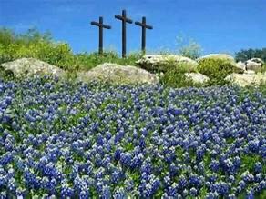 Stan Lambert tweet media