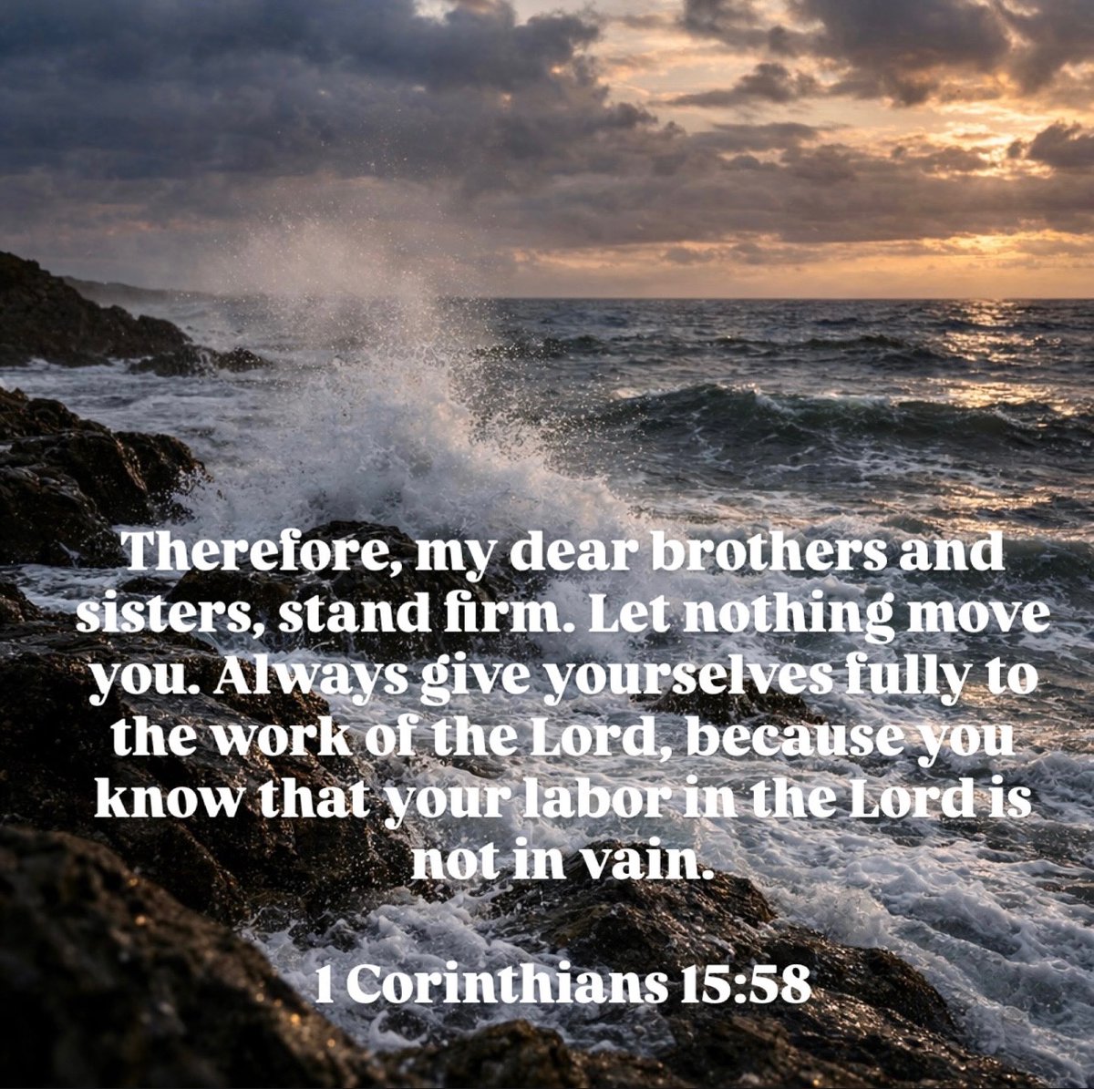 Michael Guest tweet media