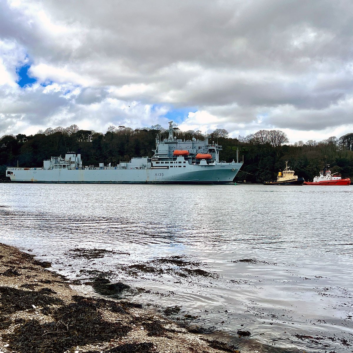 Navy Lookout tweet media