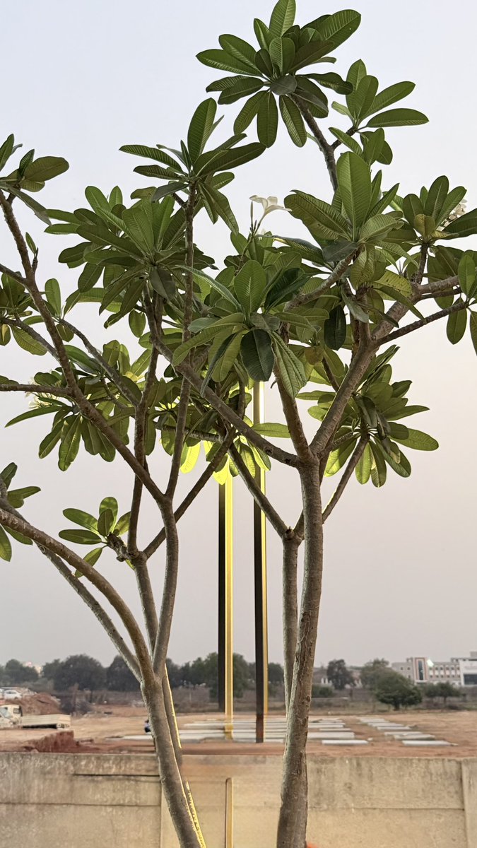 sairaaj44's tweet image. #pictures Evening Vibes