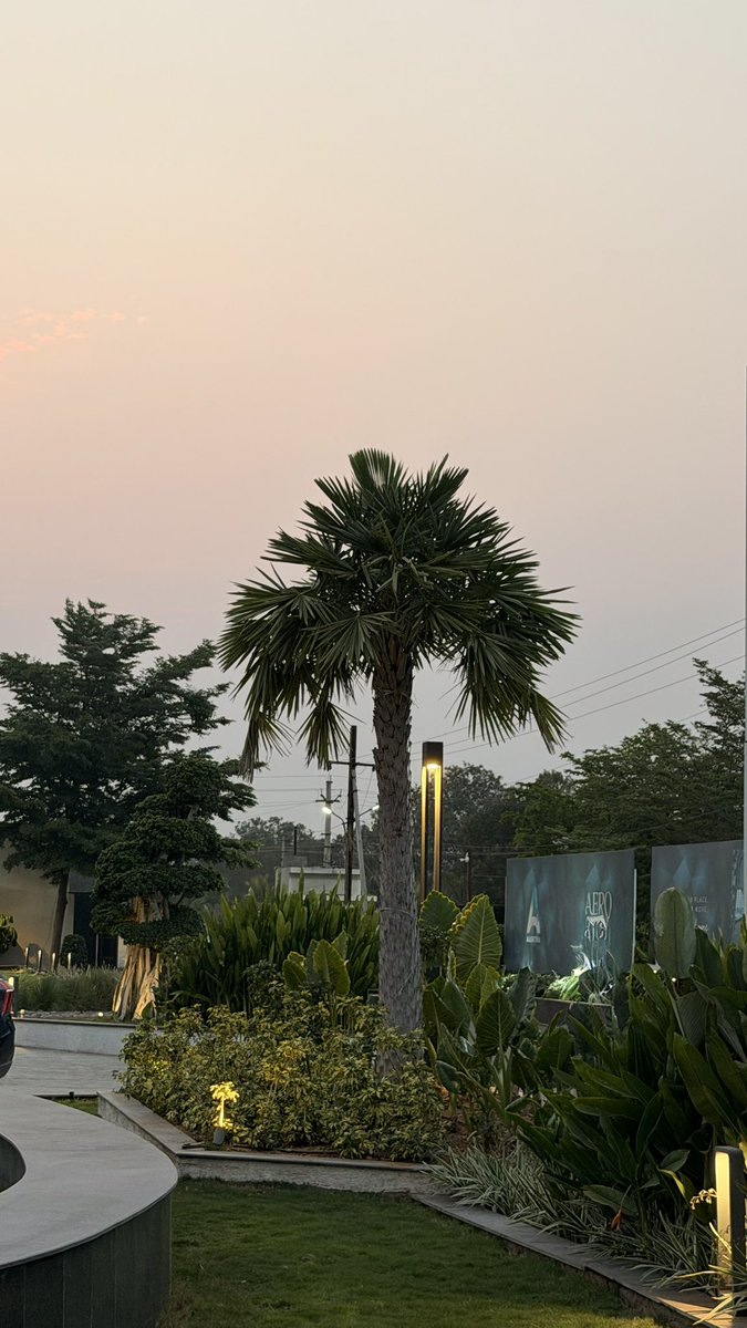 sairaaj44's tweet image. #pictures Evening Vibes