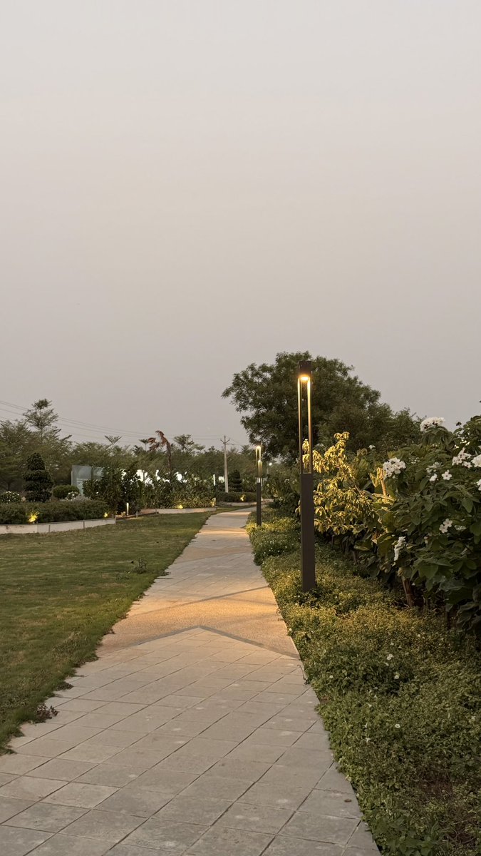 sairaaj44's tweet image. #pictures Evening Vibes