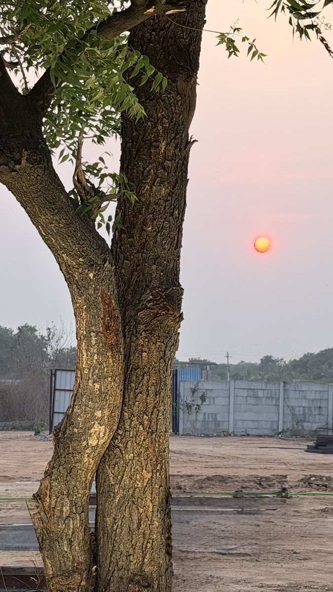 sairaaj44's tweet image. #pictures Evening Vibes