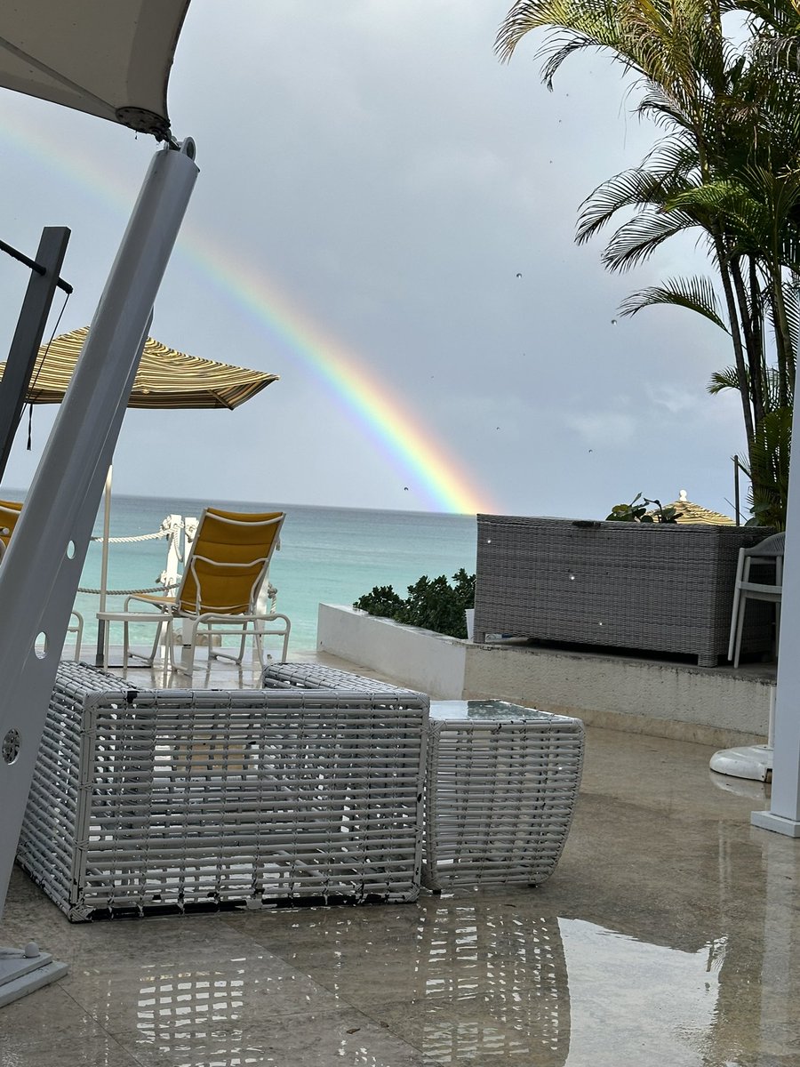 David Lesch tweet media