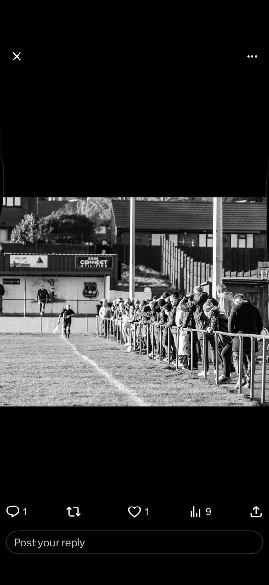 Lee shinfield tweet media