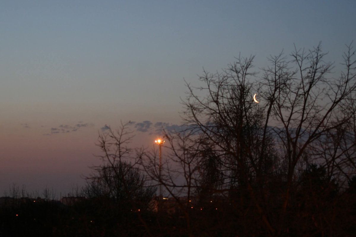 András Garami tweet media