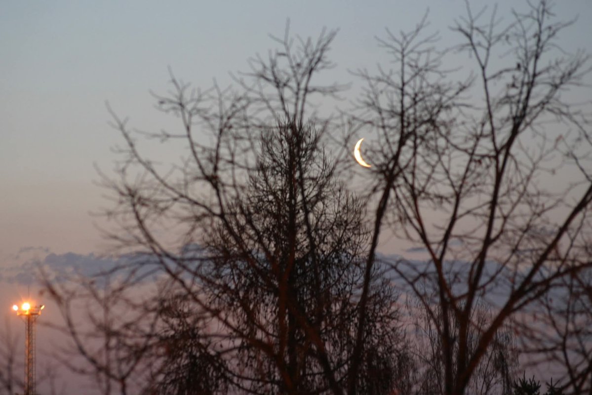 András Garami tweet media