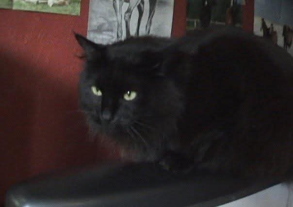 Trude Elisabeth Skaug tweet media