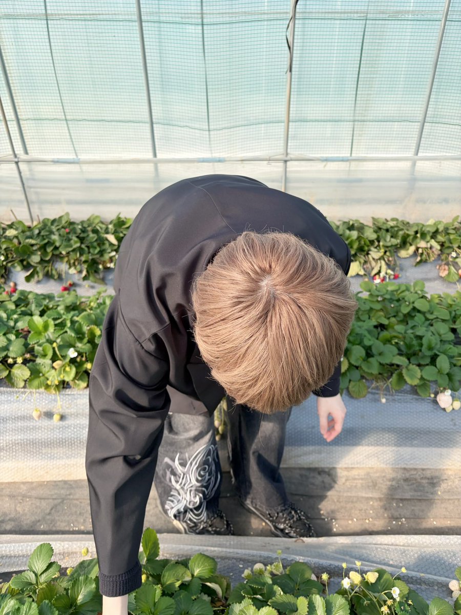 たまさん tweet media