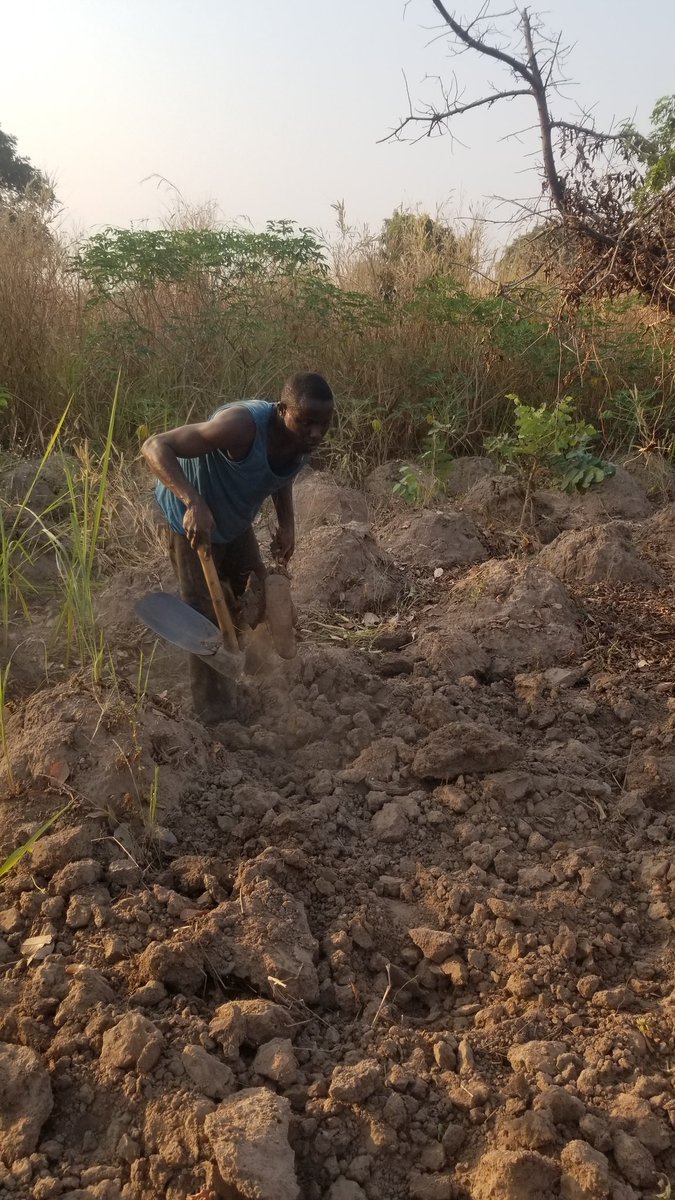 Debigbash tweet media