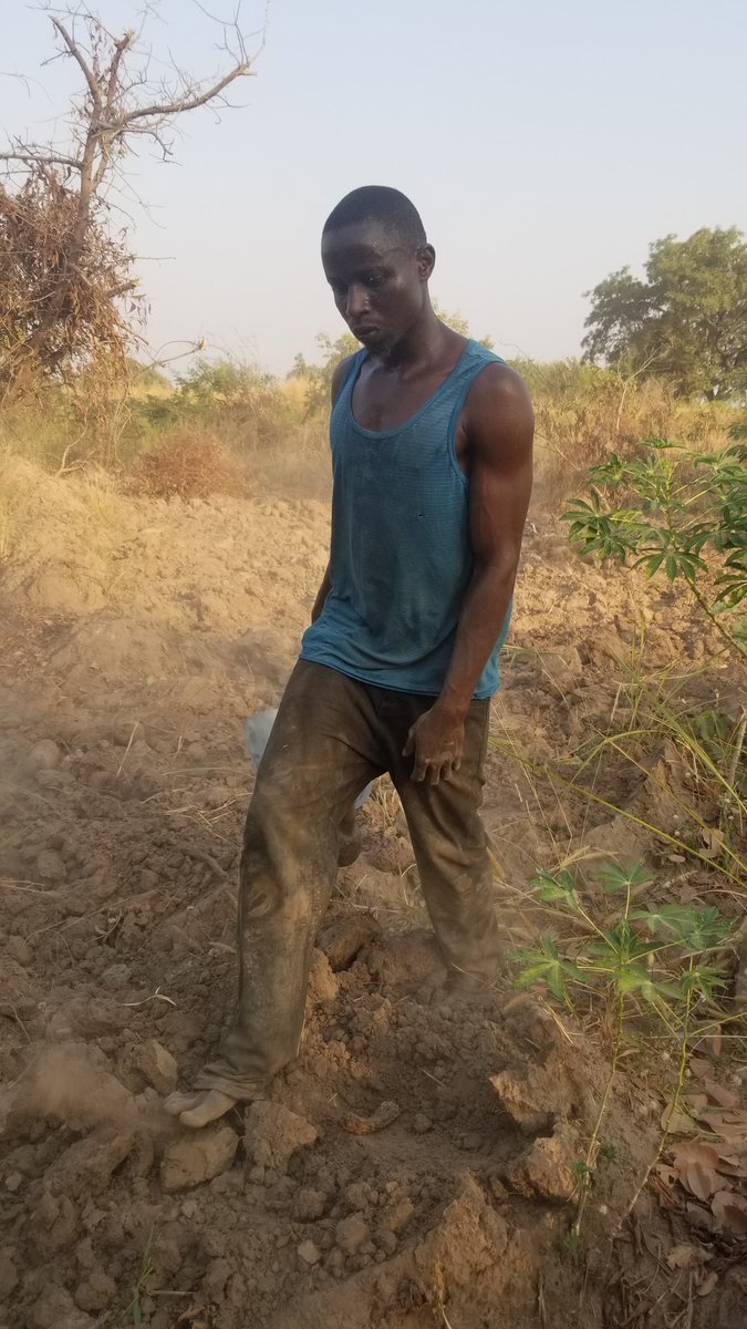 Debigbash tweet media