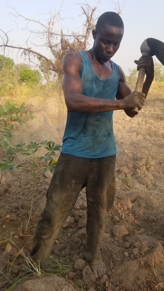 Debigbash tweet media