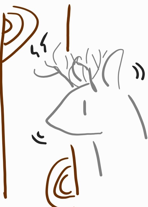 힘내개 tweet media