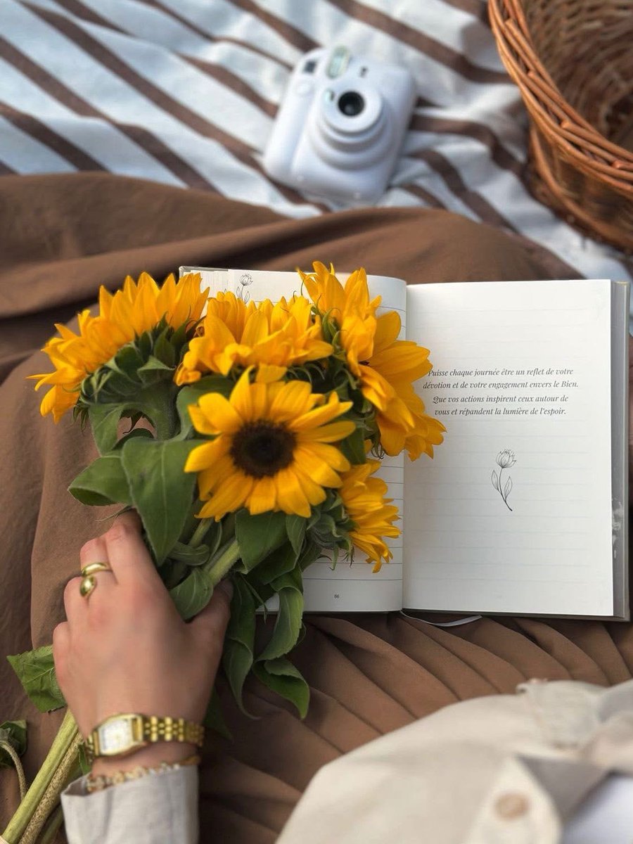 sunflowerchives's tweet photo. Just a girl who loves sunflowers 🌻 https://t.co/mGCs56CrmK