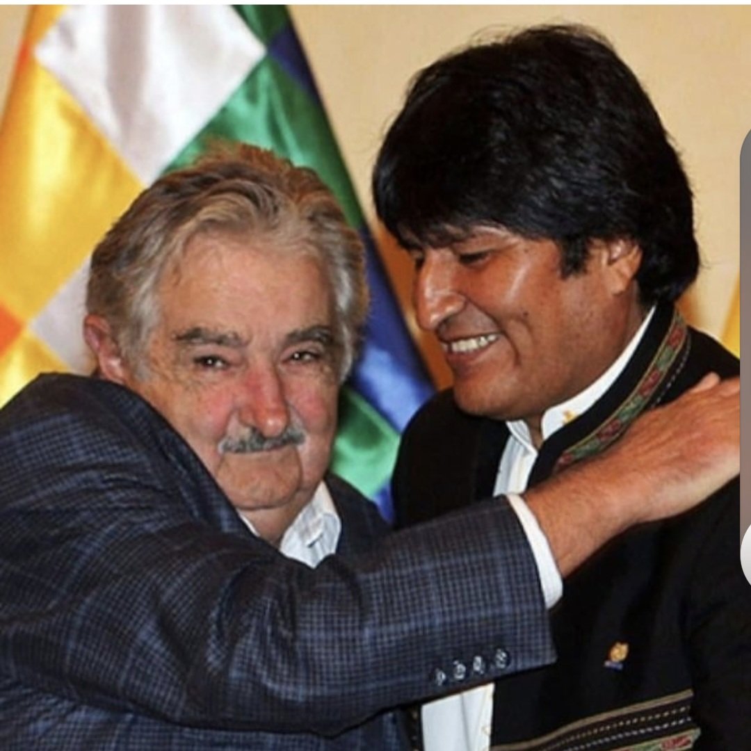 daniela leoni tweet media