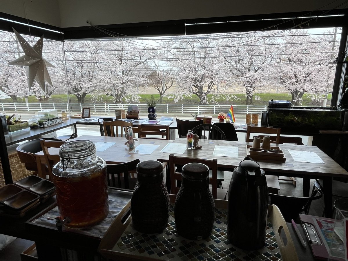 ／
今年もお花見交流会やるよ🌸
＼

昨年、この桜の木の伐採が決まって、最後の花見だよ〜と言っていたけど、まだ切られていなかった〜✨

４月11日（土）お昼
場所：cube dreams gather
（新発田市緑町）

インドカレーを食べながら
桜を見るざっくばらん会！
🌸詳細は後ほど！

（写真は昨年の桜🌸）