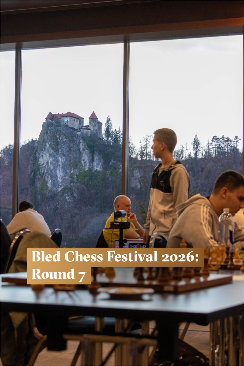 Bled Chess Festival tweet media