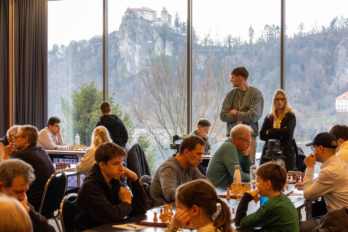 Bled Chess Festival tweet media