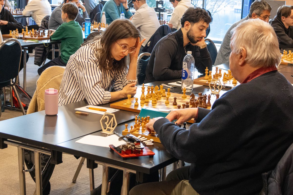 Bled Chess Festival tweet media
