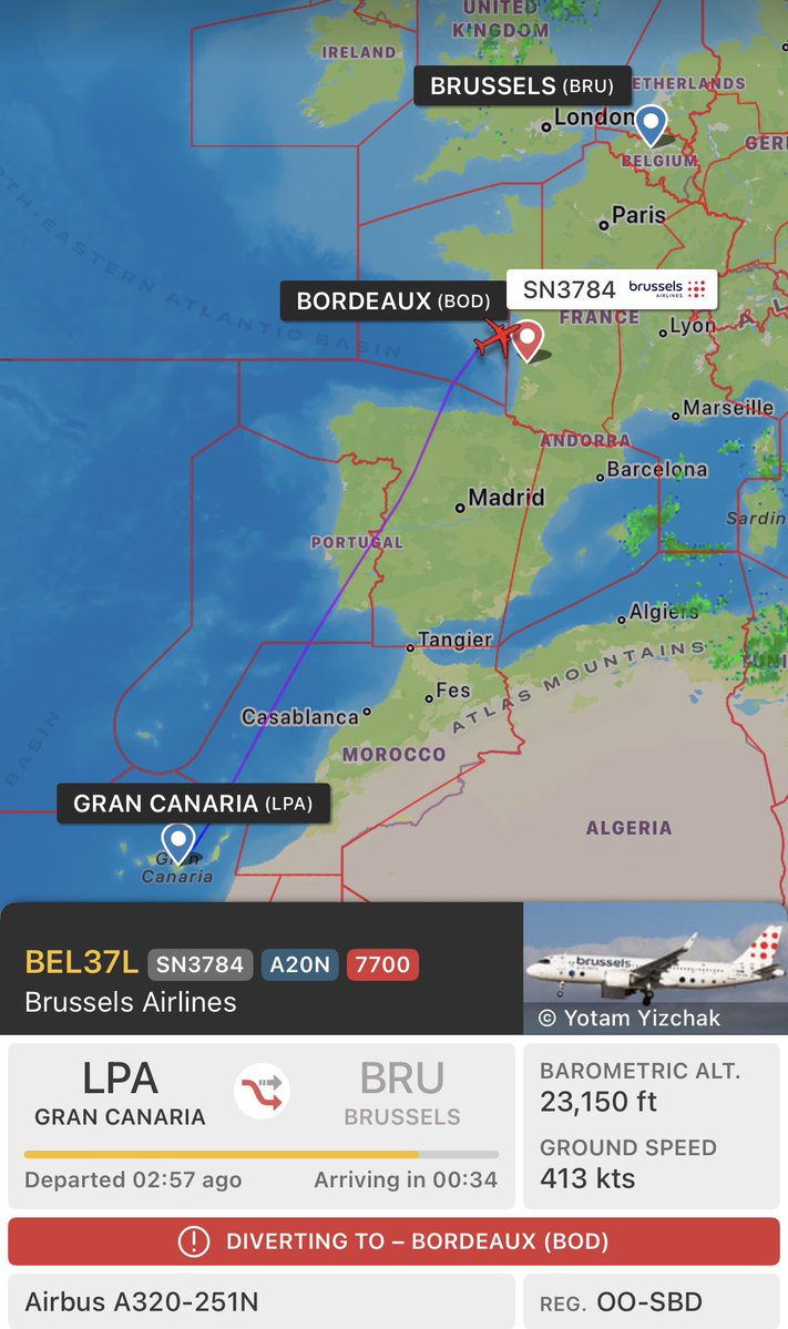 Squawk Alert tweet media