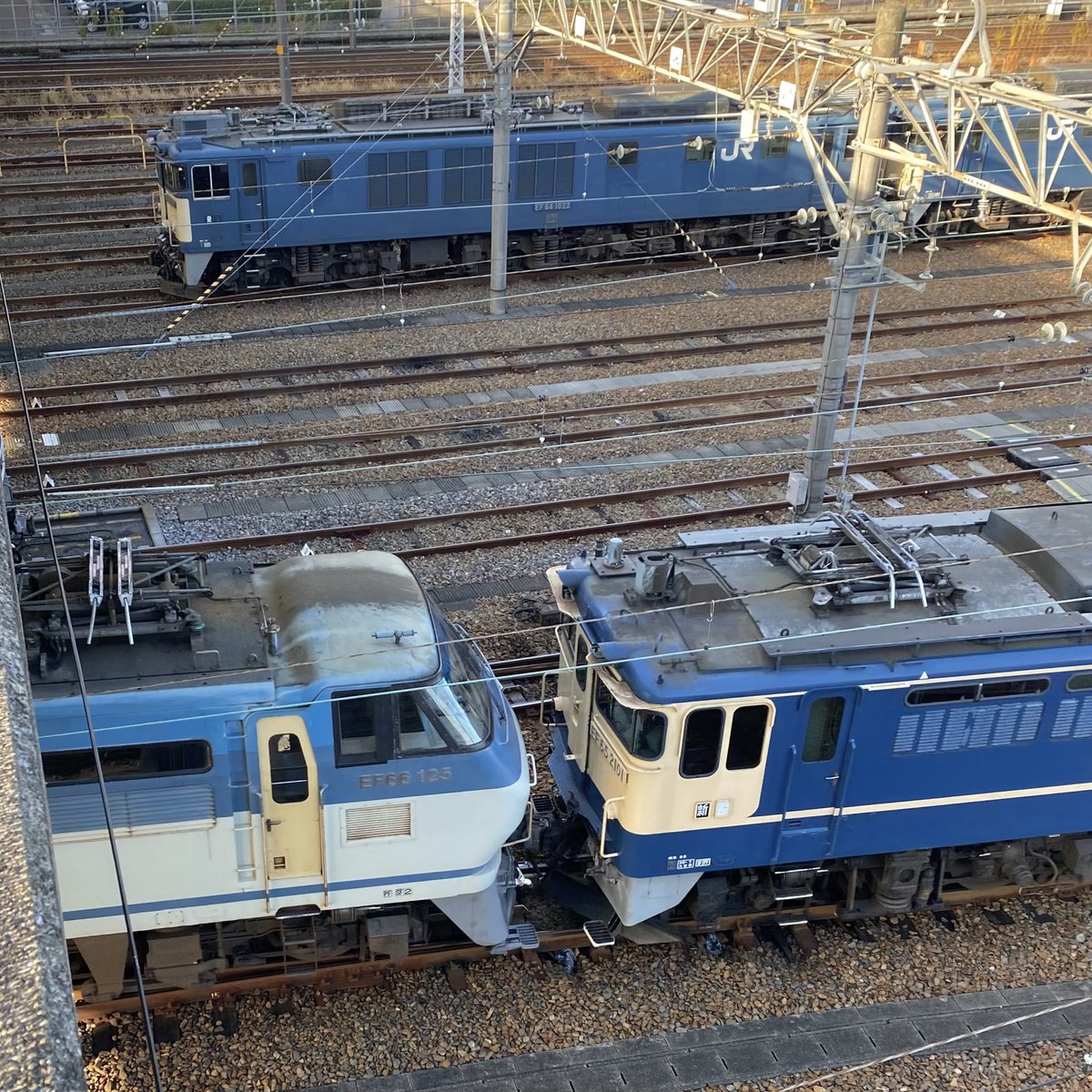 義務教育に勝利したオンナ tweet media