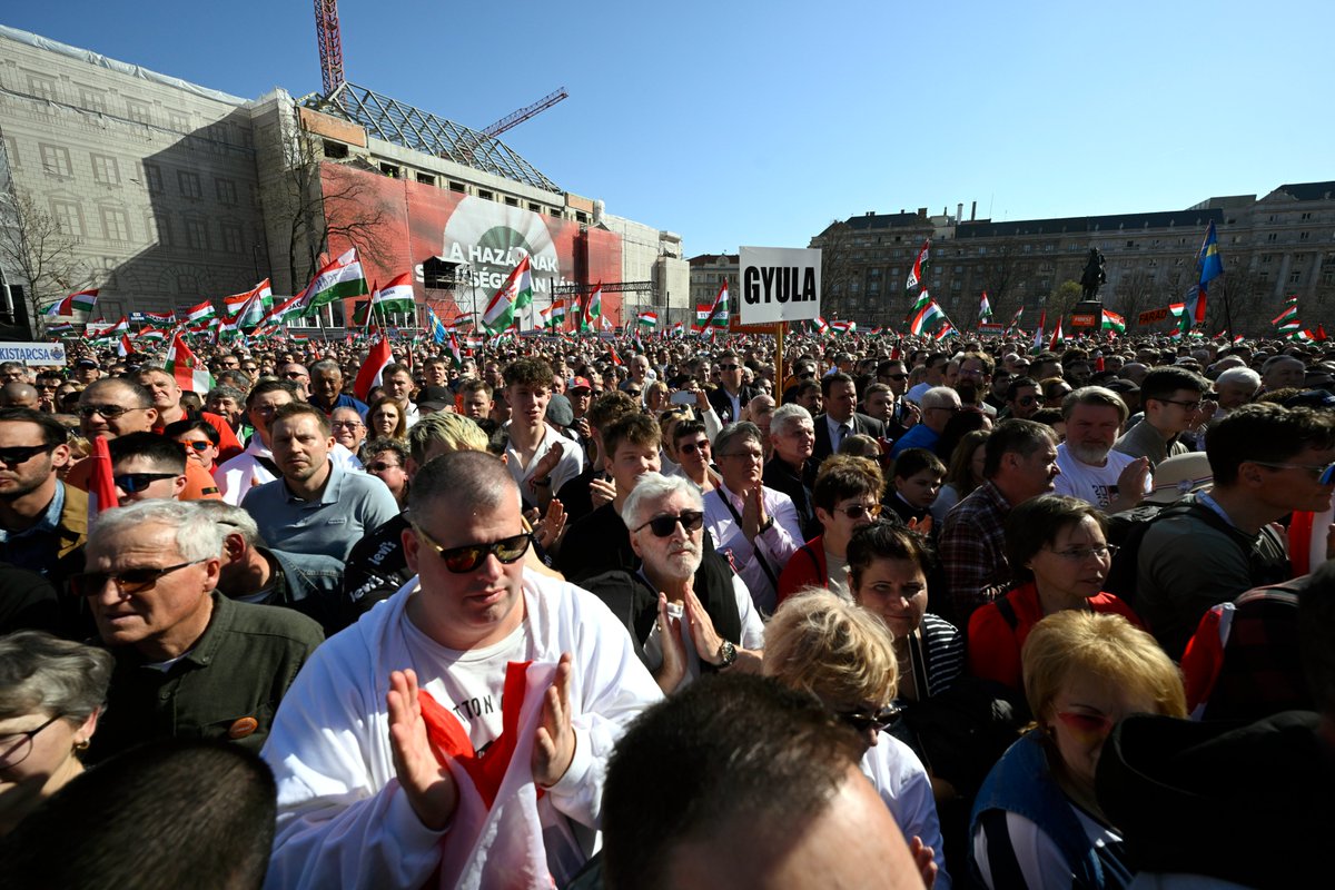 Zoltan Kovacs tweet media