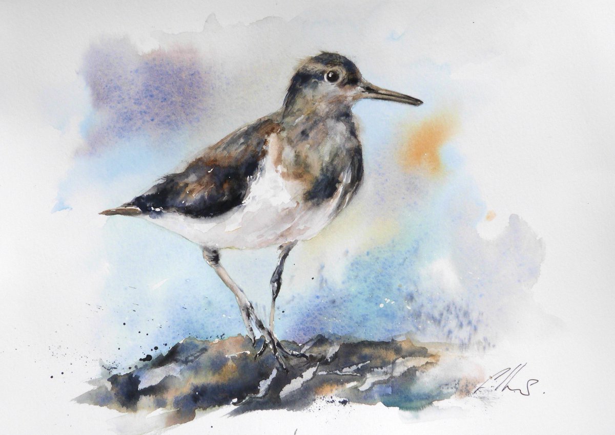 Graham Kemp Watercolour Art 🖌 tweet media