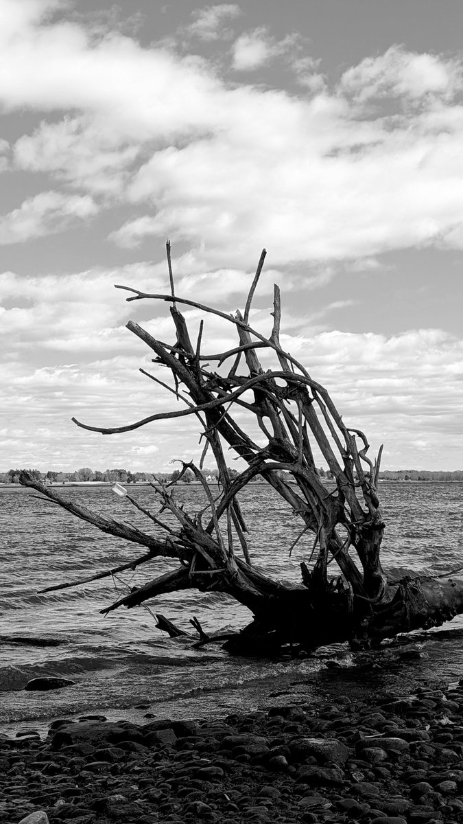 KAARTIFACTS tweet media